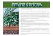 How to Design a Closed-System TerrariumTERRARIUM How to Design a Closed-System Terrariums are beautiful interior accents for the places where people live and work. Their glassy containers