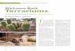 Welcome Back Terrariums - Lawn & Garden Retailerlgrmag.com › wp-content › uploads › terrariums.pdf · 2017-11-03 · terrariums are regaining a lost popularity as indi-viduals