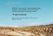 Tunisia - FATF-GAFI.ORG · place in Tunisia as at the date of the on-site visit (16-26 February 2015). The report analyses the level of compliance with the FATF 40 Recommendations