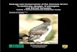 Biology and Conservation of the Common Murre in California ... · status of the common murre has been sponsored by the U.S. Fish and Wildlife Service (Division of Migratory Bird Management)