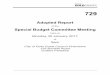 Adopted Report Special Budget Committee Meeting€¦ · 30/01/2017  · Special Budget Committee Meeting 30 January 2017 Adopted Report ITEM 1 (CONTINUED) NOVEMBER 2016 MONTHLY FINANCIAL