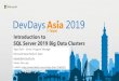 Introduction to SQL Server 2019 Big Data Clusters · Introduction to SQL Server 2019 Big Data Clusters. The Big Data Landscape. Data Growth ... Kibana Dashboard SQL ServerSpark SQL