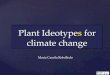 Plant Ideotypes for climate change - CGIARciat-library.ciat.cgiar.org/.../Plant_Ideotypes_for... · An ideotype for climate change is the combination of traits (genes) that confers