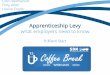 Apprenticeship Levy - strategicdevelopmentnetwork.co.uk · The workshop (with Tony and Louise) will take you through the detail of the levy, the implications for your business and