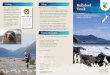 Hollyford Track brochure - Department of …...Email: fiordlandvc@doc.govt.nz Published by Department of Conservation Southland Conservancy PO Box 743 Invercargill, New Zealand March