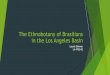 The Ethnobotany of Brasilians in the Los Angeles Basin · gonorrhea, buccal tumors, gargle sore throats, anti-pruritic Leaves- oral hygiene, antimetic Antimicrobial againsit- Bacillus