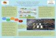 Composting and Me: A Scholarly Presentation of the Practicumpeel/SDU_Sophomores/2018Posters... · Presentation of the Practicum Brandt Anzalone, Patrick Bevan, Jacob Boyer banzalon@umd.edu,