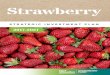 Hort Innovation | Home - Strawberry › globalassets › hort...Market development program in priority markets STRATEGIC INVESTMENT PLAN 2017-2021 AT A GLANCE POTENTIAL IMPACT OF THIS