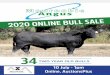 2020 ONLINE BULL SALE...Page 3 2020 ONLINE BULL SALE 34 TWO YEAR OLD BULLS 10 July - 1pm Online, AuctionsPlus CONTACTS Lindsay Ward 0428 350 380 E: mooroobie@bigpond.com Scott Bell