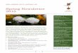 Spring Newsletter 2018 · 2019-12-02 · OPEN GARDENS SOUTH AUSTRALIA INC. Spring Newsletter 2018 1 Guelder Rose - Viburnum opulus (Sterile form) Spring has arrived! Winter this year