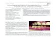 CLINICAL REPORTS Immediate rehabilitation of the aesthetic area … · Dental School, University Center of Araraquara, UNIARA, Araraquara, SP, Brazil. * Corresponding Author: Pâmela
