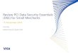 Review PCI Data Security Essentials (DSE) for Small Merchants · Review PCI Data Security Essentials (DSE) for Small Merchants 15 November 2018 June Qiu Global Payment System Risk