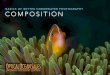 BASICS OF BETTER UNDERWATER PHOTOGRAPHY COMPOSITION · COMPOSITION ‣ Horizontal or Vertical Orientation ‣ Rule of Thirds ‣ Dynamic Diagonals ‣ Focal Point of Interest - Eye
