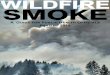 WILDFIRE SMOKE: A GUIDE FOR PUBLIC HEALTH OFFICIALS · 2020-06-23 · ii ACKNOWLEDGEMENTS The Wildfire Smoke Guide for Public Health . Officials, first published in 2002, was developed