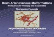 Brain Arteriovenous Malformations - Neurovasc Exchange...Location, size, arterial feeders, venous drainage, nidus patern, presence of direct A / V fistulae Importance of haemorrhagic