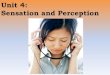 Unit 4: Sensation and Perception 2014-10-17آ  Sensation and Perception . ... Sensation = the process