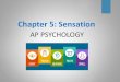 Chapter 5: Sensation · 2020-04-07 · Chapter 5: Sensation AP PSYCHOLOGY . Sensation vs. Perception The process by which our sensory receptors and nervous system receive and represent