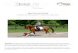 Rider Fitness Training - Dressage Academy › ... › 01 › Rider-Fitness-Training-… · by exercise physiologist and personal trainer, Tom Stabile, this program is designed specifically