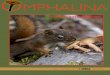 OMPHALIN V · 2014-09-14 · Newsletter of Vol. III, No 12 Dec. 18, 2012 OMPHALIN V ISSN 1925-1858 FORAY 2012 REPORT