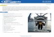 Overview Features - OceanWorks International2).pdf · USA +1 281 598 3940 CAN +1 604 415 0088 Overview OceanWorks International supplies Launch and Recovery Systems for use with its