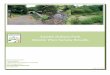Swede Hollow Park Master Plan Survey Results · District 5 Planning Council, Health East, and Hope Community Academy to create a Master Plan for Swede Hollow Park. With this effort,