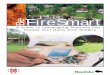 Be FireSmart - Province of Manitoba | Home Page › sd › pubs › fire › landscaping_practices.pdf · of a slope, the Home Priority Zone will need to be wider and extend farther
