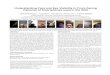Understanding Face and Eye Visibility in Front-Facing ... · Understanding Face and Eye Visibility in Front-Facing Cameras of Smartphones used in the Wild Mohamed Khamis 1, Anita
