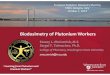 Biodosimetry of Plutonium WorkersBiodosimetry of Plutonium Workers Stacey L. McComish, M.S. Sergei Y. Tolmachev, Ph.D. College of Pharmacy, Washington State University smccomish@wsu.edu