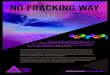 NO FRACKING WAY - GreensMPsgreensmps.org.au/sites/default/files/fracking_flier.pdf · France, Bulgaria and various townships in the USA have voted to ban fracking. The State of Vermont