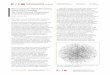 Representing the Digital Humanities Today the scientific ... · 2015 PARSONS JOURNAL FOR INFORMATION MAPPING AN PARSONS INSTITUTE FOR INFORMATION MAPPING ... Benjamin Bohl Benjamin