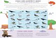 FI’s GAME OF BIRD BINGO - Highland Spring · FI’s GAME OF BIRD BINGO Print o! a sheet for each person who wants to play the game the next time you go out on adventure outdoors