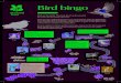 Bird bingo - nt.global.ssl.fastly.net · Bird bingo Birds are beautiful. They hop about on the ground, fly in the sky and sing in the trees. Birds are also really important for our