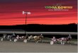 Copyright © 2018 Tioga Downs. All Rights Reserved....Resort is a great place to have fun at an affordable price. Tioga Downs Quick Facts Track circumference: 5/8 mile Stretch length: