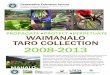 PROPAGATE PROTECT PERPETUATE WAIMĀNALO TARO … › news › attachments › pdf5823_3185.pdf · Fred Reppun (Hui Ulu Mea ʻAi in partnership with the Department of Land and Natural