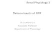 Determinants of GFR - WordPress.com · Net Filtration Pressure •P (g) = 60 mmHg •P (b) = 18 mmHg •Π(g) = 32 mmHg •Π(b) = ̴0 mmHg •NFP= ( Sum of all these forces) 