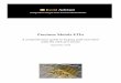 Precious Metals ETFs - iGold Advisor · Precious Metals ETFs A comprehensive guide to buying gold and silver with the click of a mouse September, 2015