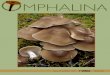 OMPHALIN V - mykoweb.com · O MPHALINA Newsletter of Vol. VII, No 4 June 2, 2016 OMPHALIN V ISSN 1925-1858