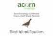 Acorn Ecology Certificate Course Self-Study Tutorial · Acorn Ecology Certificate Course Self-Study Tutorial . Getting Started ... • Also look at the rarity of a species; if it