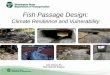 Fish Passage Design - Transportation.org · Fish Passage Design: Climate Resilience and Vulnerability. WSDOT vs WDFW: Trib to Tawes CreekGrovers Creek Olsen Creek Gribble Creek Measured