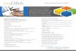 myDBA Technical Summary · Introducing the next generation in data technology: myDBA is web-based business intelligence, delivered through an easy-to-use spreadsheet-like interface,