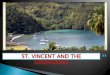 St. Vincent and the grenadines...Grenada, Montserrat, St. Kitts and Nevis, St Lucia, St Vincent and the Grenadines , Anguilla and the British Virgin Islands. The OECS BAR ASSOCIATION