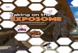 Taking on the Exposome...THE EXPOSOME: The exposome encompasses the entirety of a person’s exposures from birth to death, including internal exposures such as gut bacteria, lifestyle
