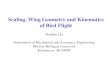 Scaling, Wing Geometry and Kinematics of Bird Flight...Scaling, Wing Geometry and Kinematics of Bird Flight Tianshu Liu Department of Mechanical and Aerospace Engineering Western Michigan