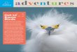 Get to Know Birds - National Audubon Societynetapp.audubon.org › AudubonAdventures › docs › Get_to... · of birds. So grab a field guide or open an app and go outside! When