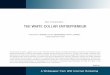 The White Collar Entrepreneurwsicorporate.com/Portals/0/TheWhiteCollarEntrepreneur.pdf · A Whitepaper from WSI Internet Marketing . THE WHITE COLLAR ENTREPRENEUR THE UNIVERSAL GLASS