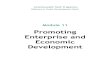Promoting Enterprise and Economic Development · Commonwealth Youth Programme Diploma in Youth Development Work Module 11 Promoting Enterprise and Economic Development