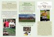 NEW ENGLAND BEEKEEPING - Welcome to NEBEES.com › 2018-catalog.pdf · 2020-02-20 · Our Pledge We strive to support your hive management by talking to you about your honeybees