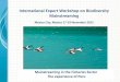 International Expert Workshop on Biodiversity Mainstreaming€¦ · Biological Reference Point (BRP) High -> 5/ Low -> 4 million Tons Industrial fisheries based on individual quota