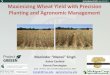 Maximizing Wheat Yield with Precision Planting and ... Crop Summit_Singh... Precision Planter 5 â€™â€™Row