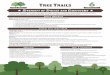 Tree Trails 6 - Texas A&M Forest Service Diversity of...TREE TRAILS Promoting ‘diversity’ is a basic principle of urban forestry. A diverse forest implies a more resilient forest,